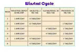 winny only cycle